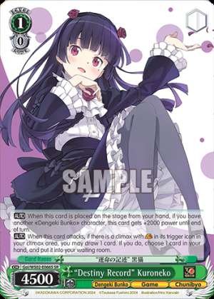 "Destiny Record" Kuroneko