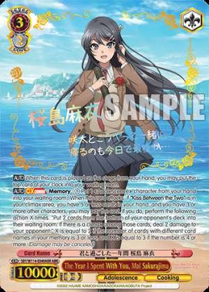 The Year I Spent With You, Mai Sakurajima
