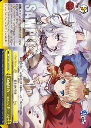 Knight Princesses' Fantasy