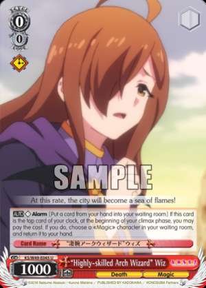 “Highly-skilled Arch Wizard” Wiz