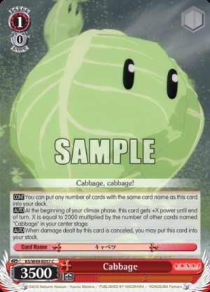 Cabbage