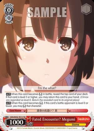 Fated Encounter? Megumi
