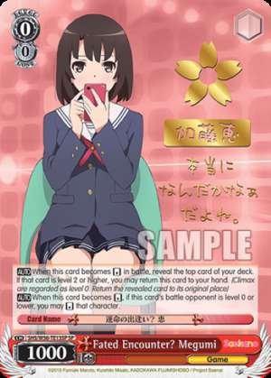 Fated Encounter? Megumi