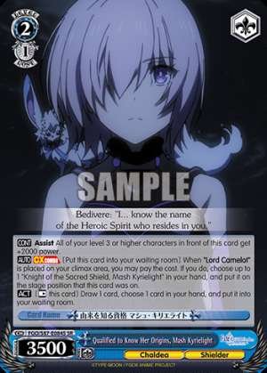 Qualified to Know Her Origins, Mash Kyrielight