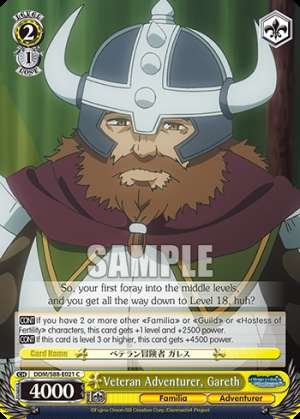 Veteran Adventurer, Gareth