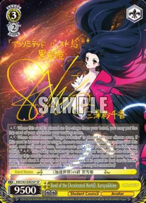Bond of the 《Accelerated World》, Kuroyukihime