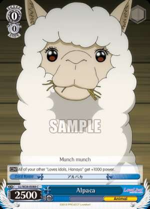 Alpaca