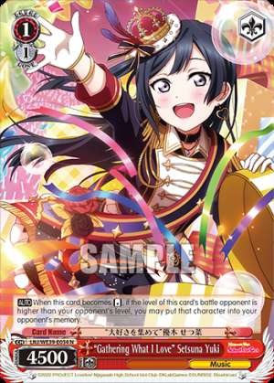“Gathering What I Love” Setsuna Yuki