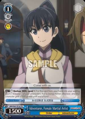 Adventurer, Female Martial Artist