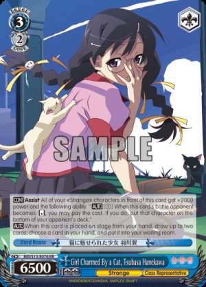 Girl Charmed By a Cat, Tsubasa Hanekawa