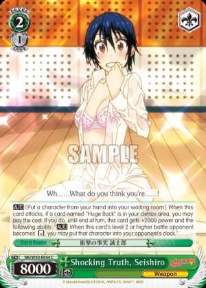 Shocking Truth, Seishiro