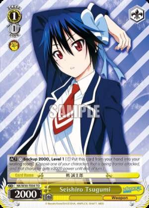 Seishiro Tsugumi