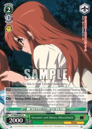 Encounter with Mikuru, Mikuru(Adult)