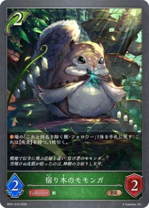Flying squirrels on mistletoe