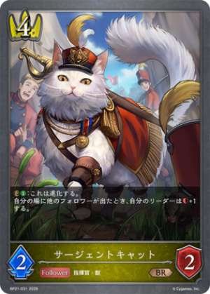 Sergeant Cat