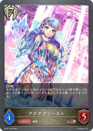 Aqua Priest