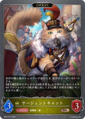 Sergeant Cat