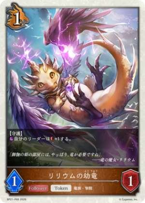 Lilium's Young Dragon