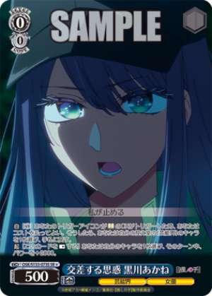 Intersecting Agendas: Akane Kurokawa