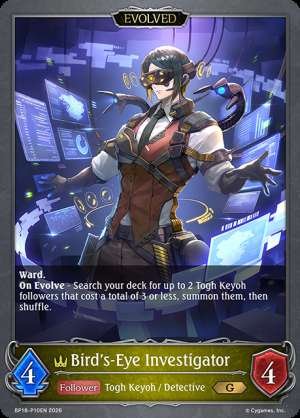 Bird's-Eye Investigator