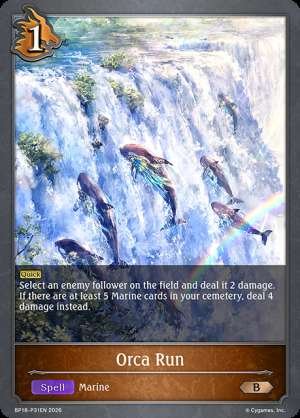 Orca Run