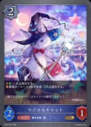 Magical Cat