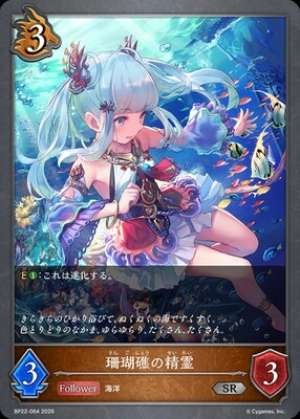 Spirit of the Coral Reef