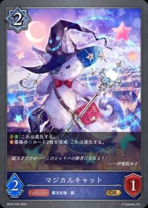 Magical Cat