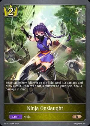 Ninja Onslaught