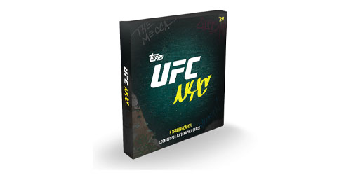 UFC NYC